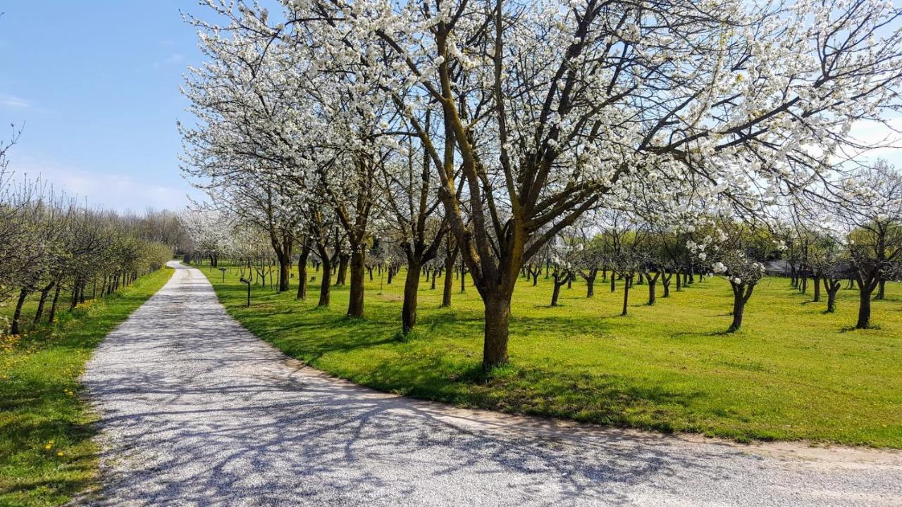 רובאנו Agriturismo Borgo Borromeo מראה חיצוני תמונה